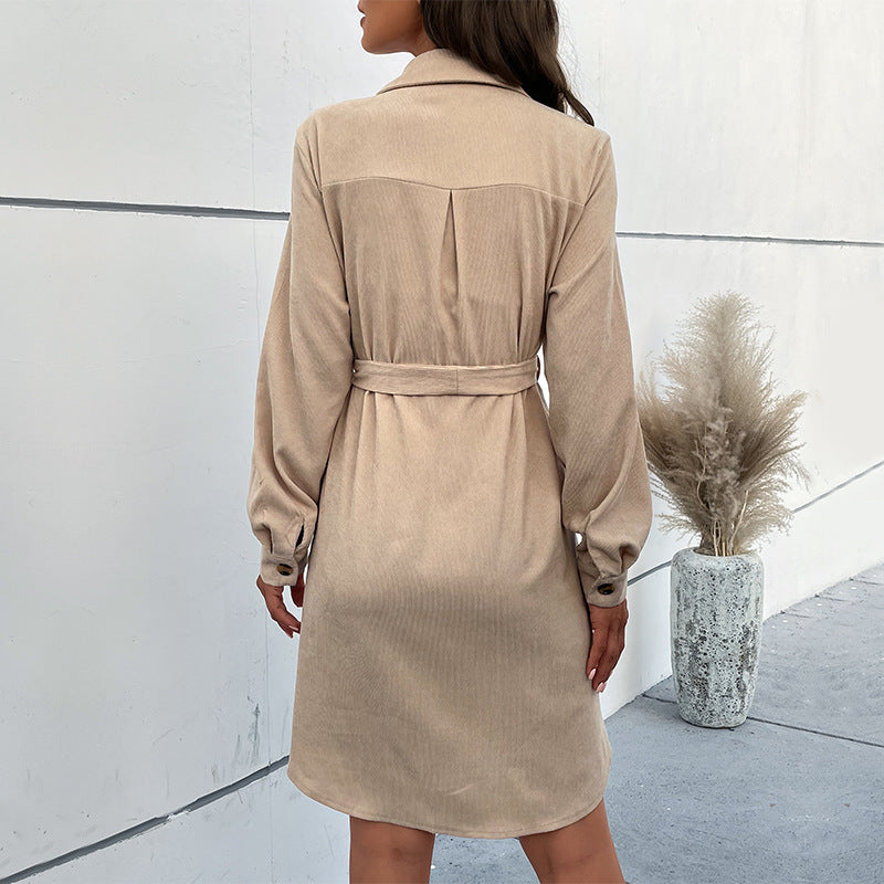 Damen Kleid aus weichem Velours WW