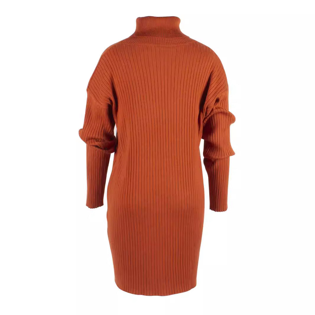 Damen Strickkleid mit hohem Kragen und Rippstruktur WW