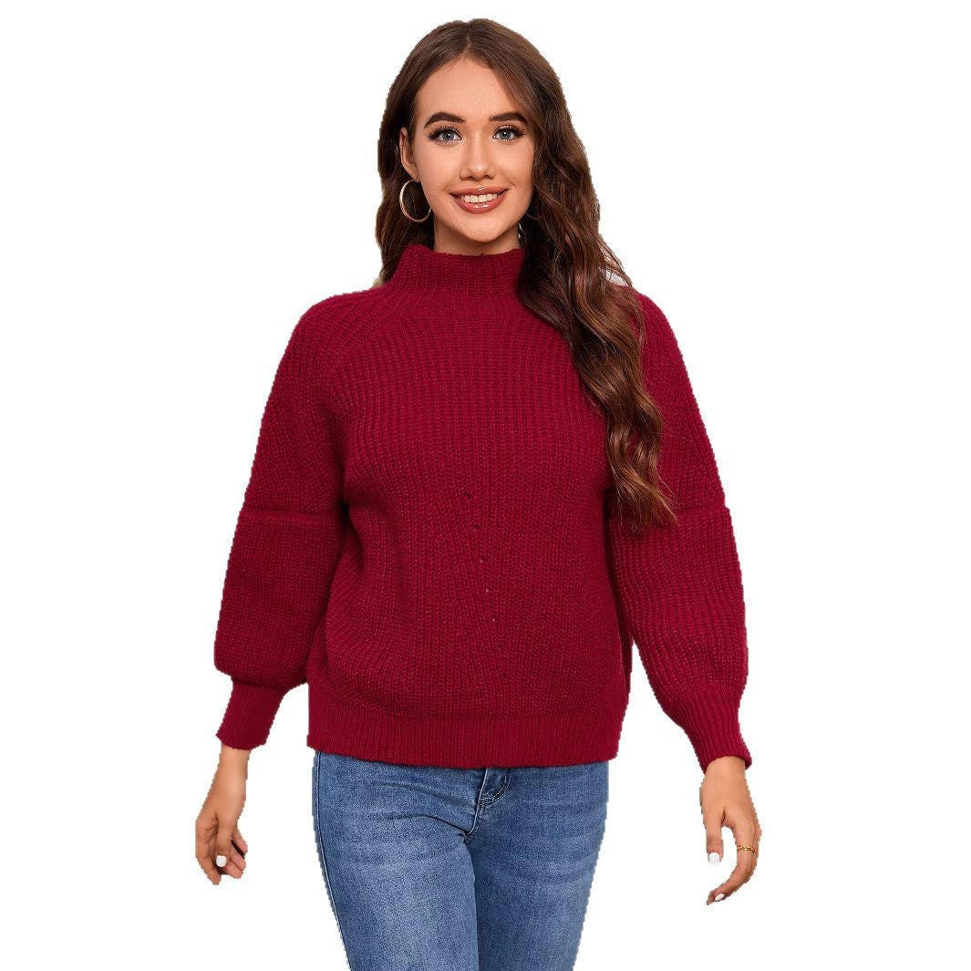 Damen Grobstrick Pullover mit hochgeschlossenem Kragen WW