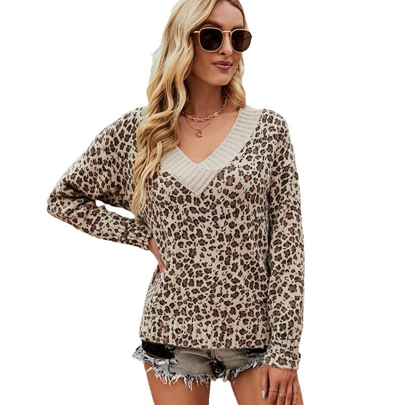 Damen Pullover mit V-Ausschnitt und modernem Leo-Muster WW
