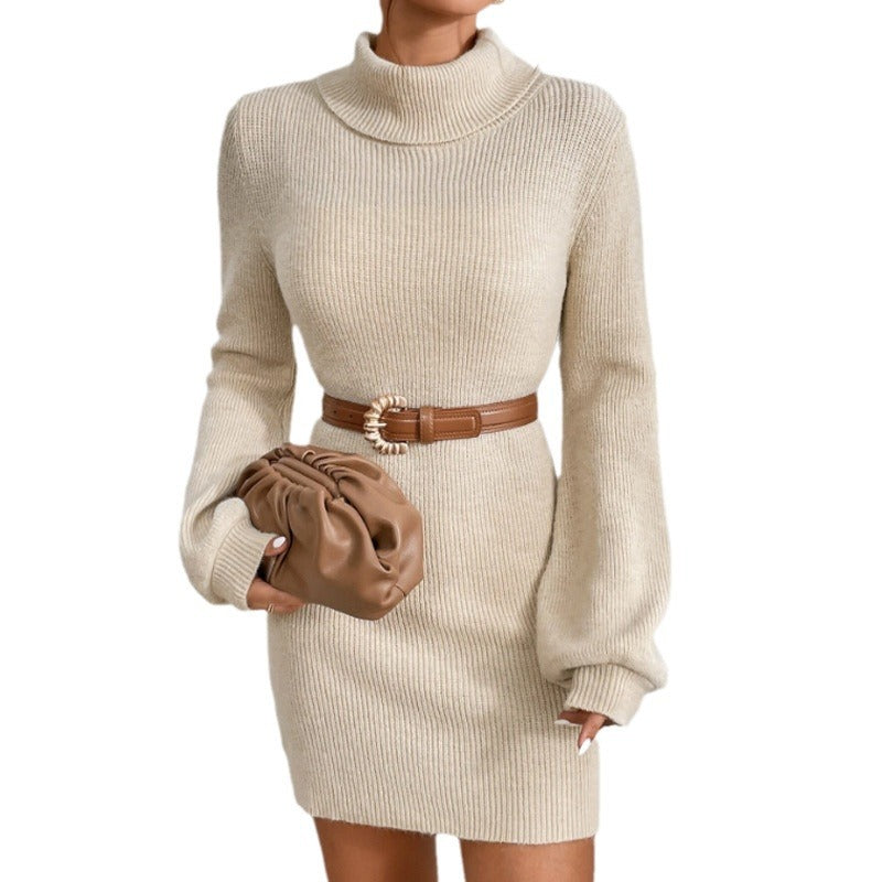 Damen Strickkleid mit hohem Kragen und langen Ärmeln WW