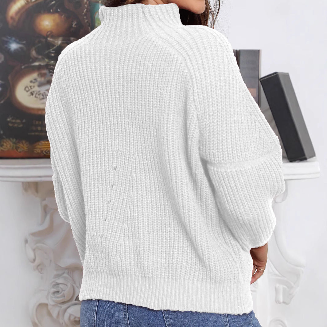 Damen Grobstrick Pullover mit hochgeschlossenem Kragen WW